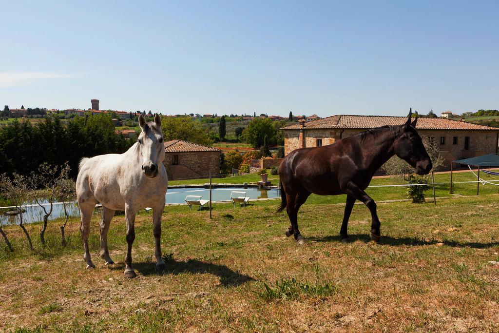 بيينْسا Agriturismo La Collina المظهر الخارجي الصورة