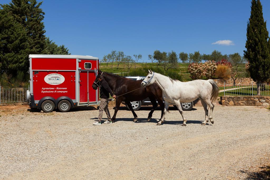 بيينْسا Agriturismo La Collina المظهر الخارجي الصورة